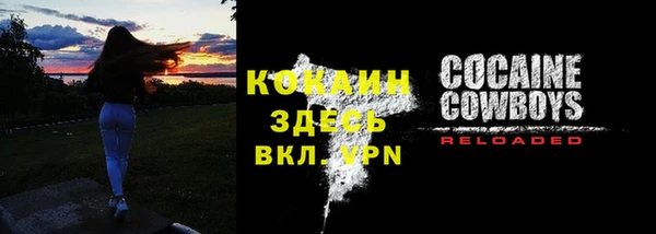 стаф Алзамай