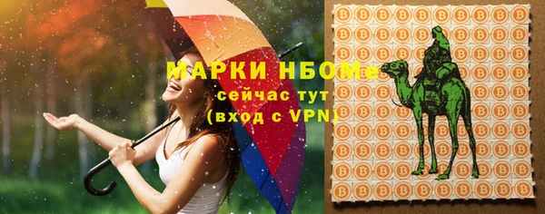стаф Алзамай