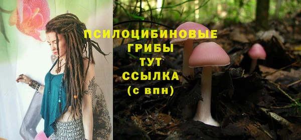 стаф Алзамай