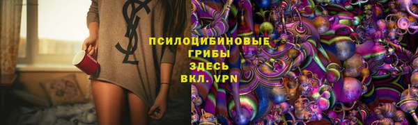 стаф Алзамай