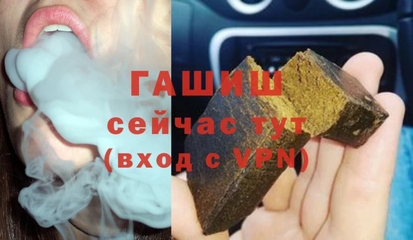 стаф Алзамай