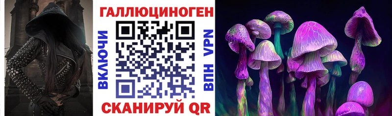 где купить наркоту  Цимлянск  Псилоцибиновые грибы мухоморы 